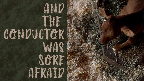 And the Conductor Was Sore Afraid