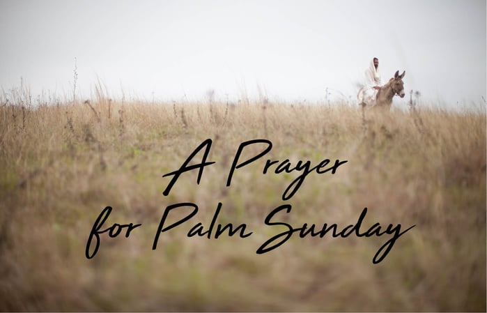 Prayer for Palm Sunday blog header.jpg